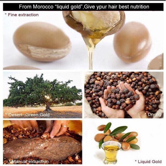Morocco Argan Nut Oil (ARGANIA SPINOSA) For Dry and Undicined Hair(FROM MALAYSIA) - View 3 of 4
