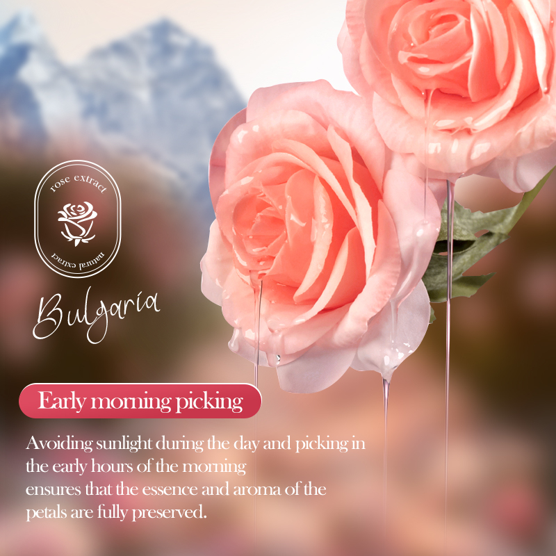 ROREC SADOER Rose Petal Body Perfume Deodorant Roll-On 40ml Long-Lasting Floral Fragrance Antiperspirant Gentle Skin Care Daily Use Refreshing Odor Protection Moisturizing Smooth Underarm Unisex - View 2 of 3