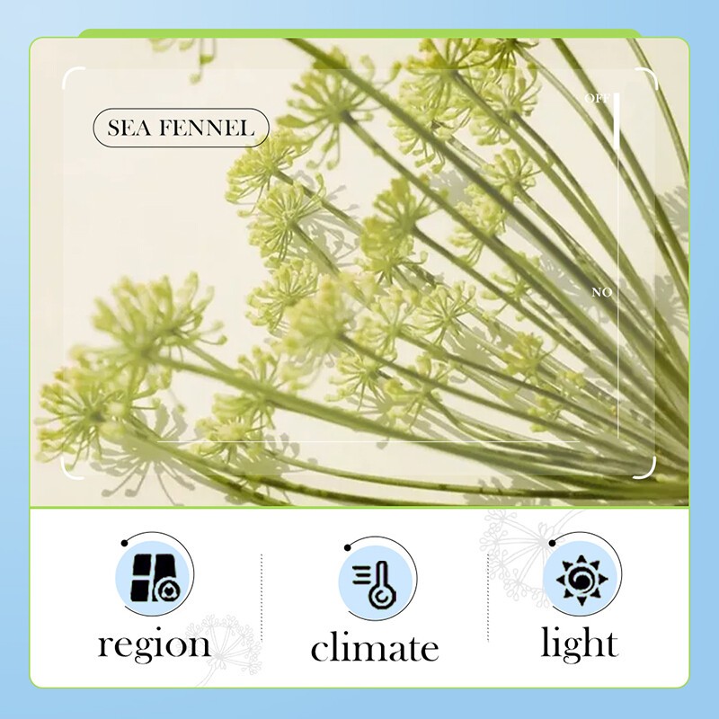 BIOAQUA Sea Fennel Hyaluronic Acid Anti-Wrinkle Nourishing Cream Hydrating Moisturizing Mild Oil Control Cream 60g(FROM MALAYSIA) - View 2 of 3