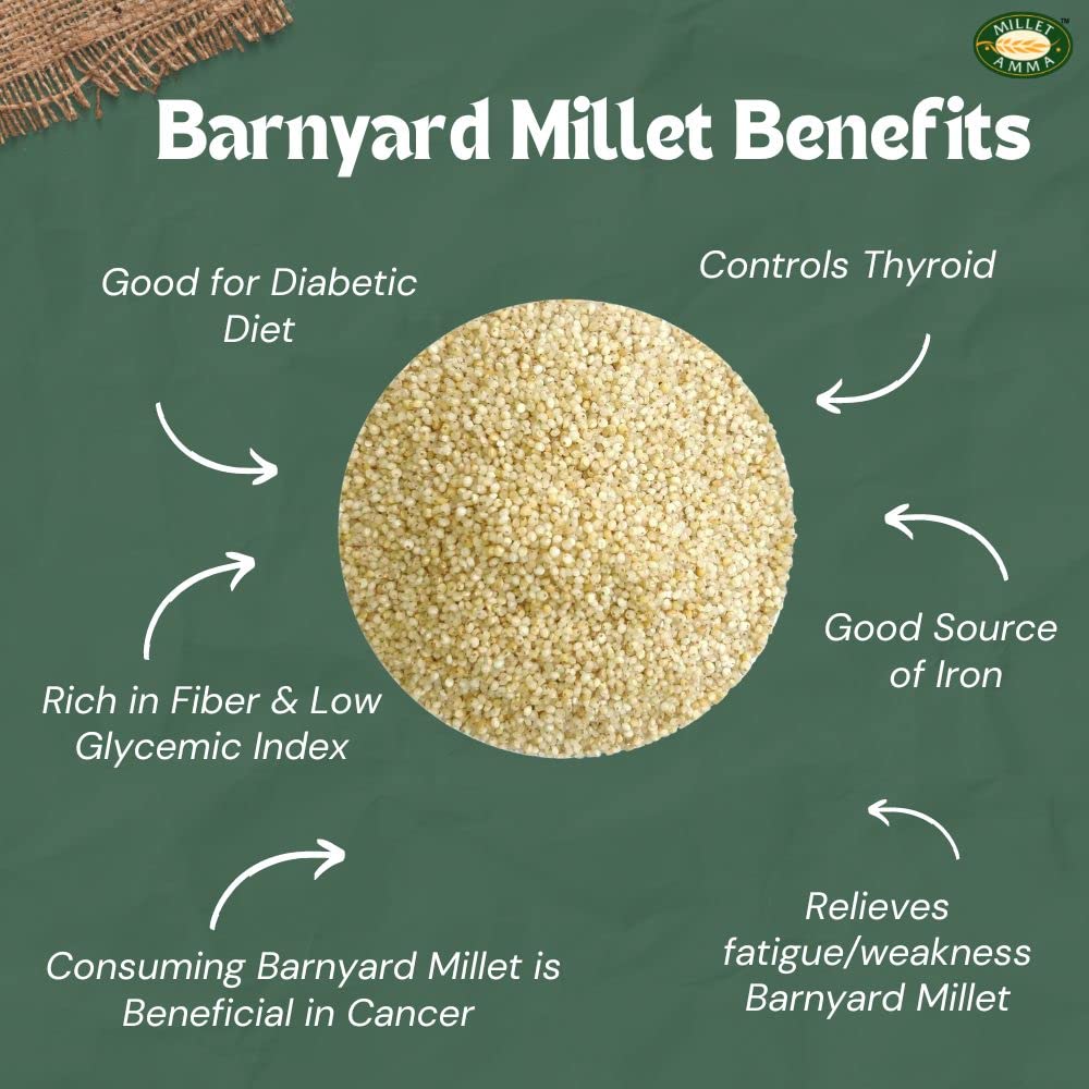Millet Amma Unpolished CERTIFIED ORGANIC Barnyard Millet Grains| 1 Kg Pack | (Udalu | Kodisama | Khira | Swank | Kuthiraivally) Rich in Fibre Than Rice & Dietary Fibre,High Protein,Gluten Free | - View 2 of 3
