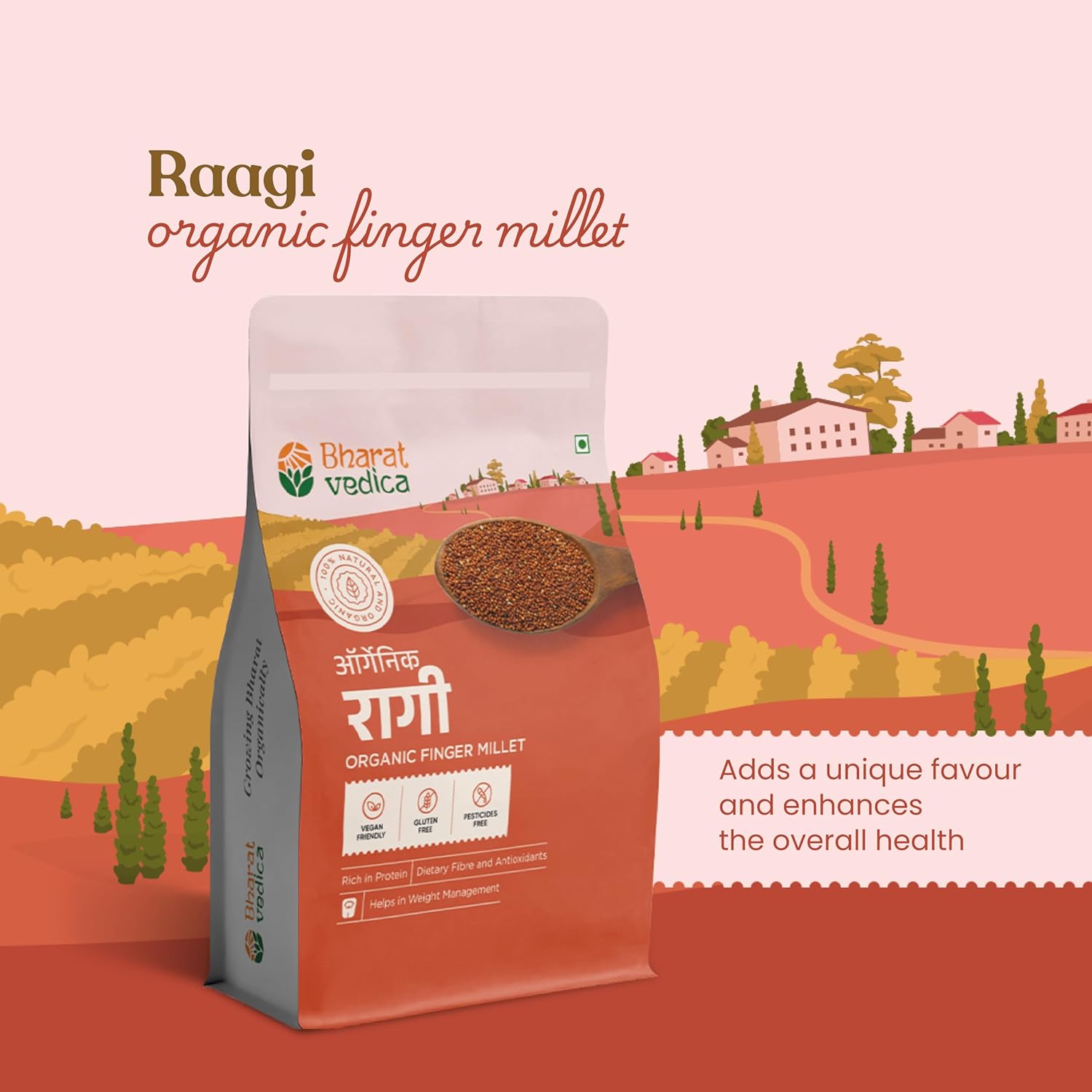 Bharat Vedica Organic Ragi (Finger) Millet 1kg | 100% Natural & Gluten Free | Rich in Fibre & Protein | Vegan Friendly | Whole Grain Ragi - View 4 of 5