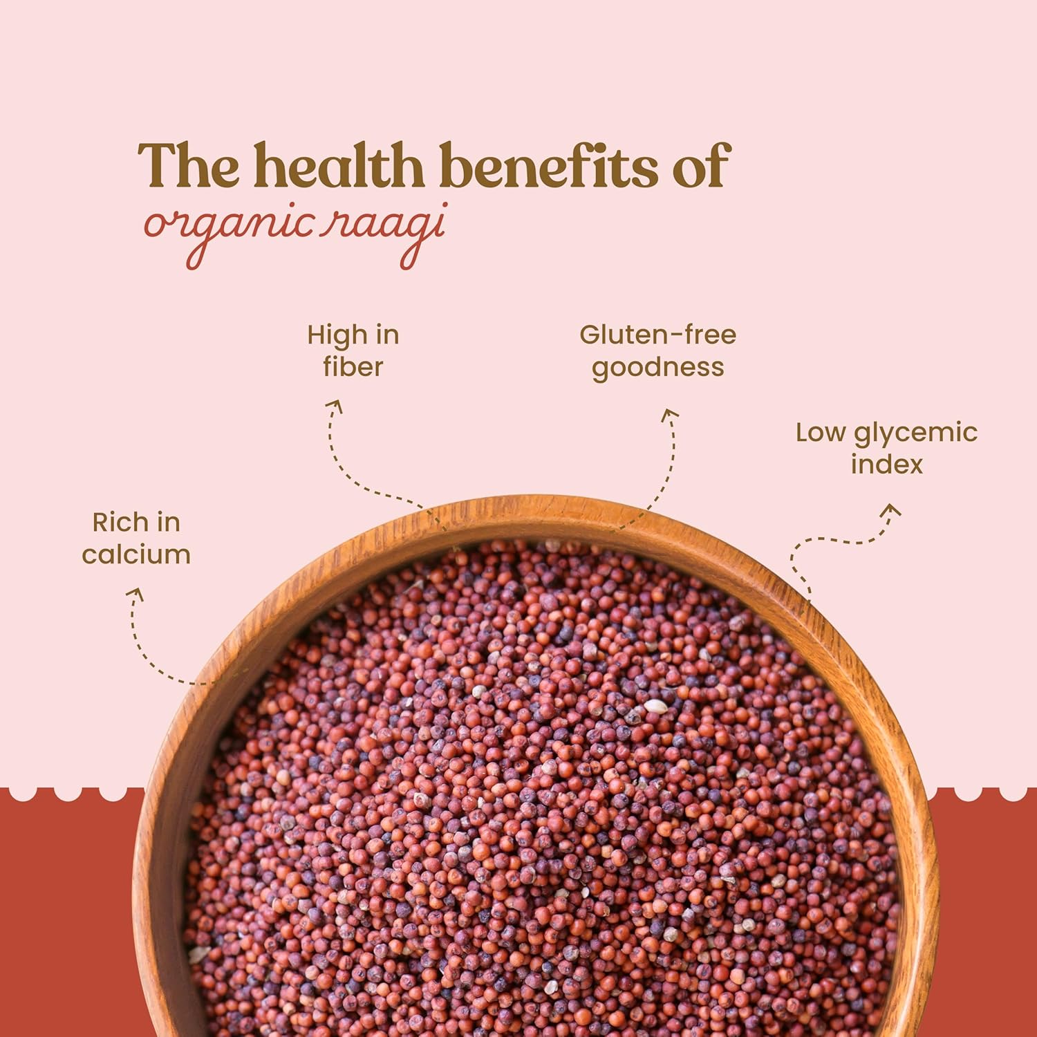 Bharat Vedica Organic Ragi (Finger) Millet 500gm | 100% Natural & Gluten Free | Rich in Fibre & Protein | Vegan Friendly | Whole Grain Ragi - View 3 of 5