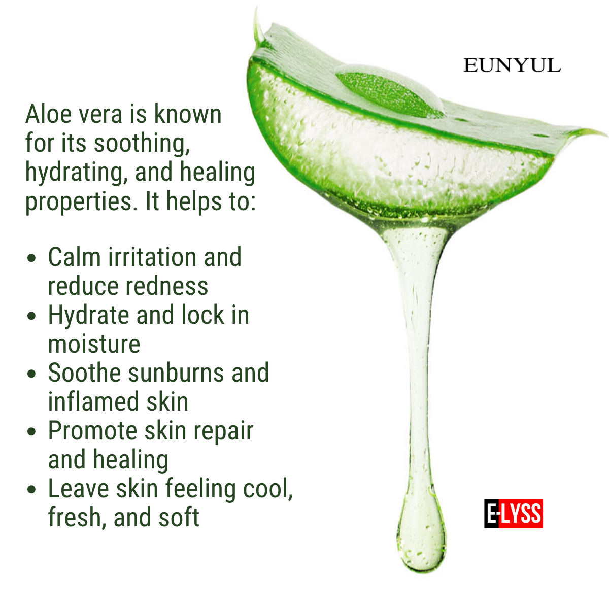 EUNYUL Aloe Vera Mist 150ml Face Toner Spray with Aloe Vera Extract, Soothing Hydration Mist, Refreshing Facial Spray for Dry Skin, Lightweight Non-Sticky Formula for Daily Moisture and Comfort - View 3 of 3