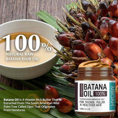 100% Batana Oil from Honduras Hair Nutrition Oil | Natural Hair Growth & Conditioning Treatment | Helps Promote Fuller, Thicker, Healthier Looking Hair | Deep Moisturizing Oil for Smooth Silky Hair Care - View 2 of 3