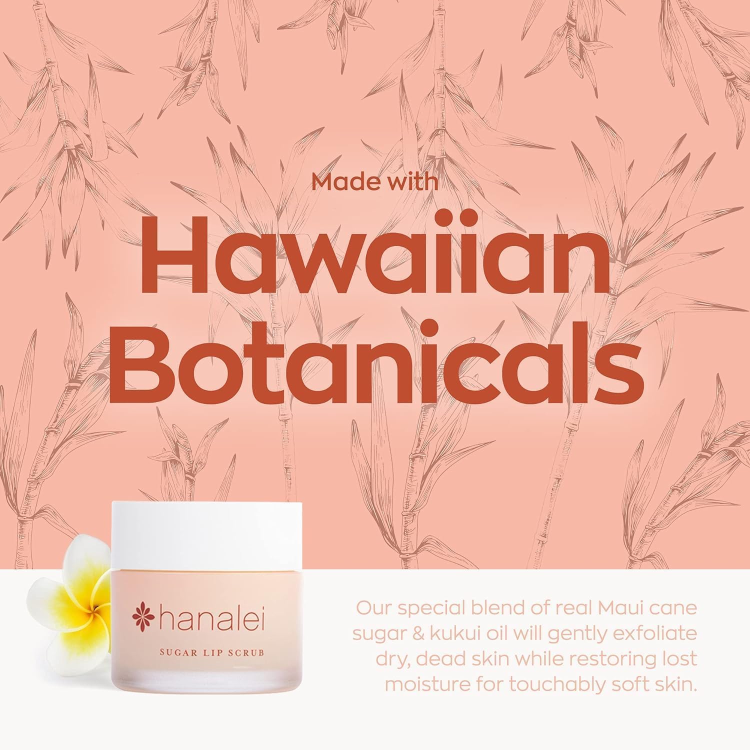 Hanalei Lip Care Products Set Duo – Sugar Lip Scrub & Kukui Oil Lip Treatment for Dry, Cracked, Chapped Lips – Exfoliate, Hydrate & Moisturize for Soft, Smooth Lips – Natural and Cruelty-free - View 3 of 7