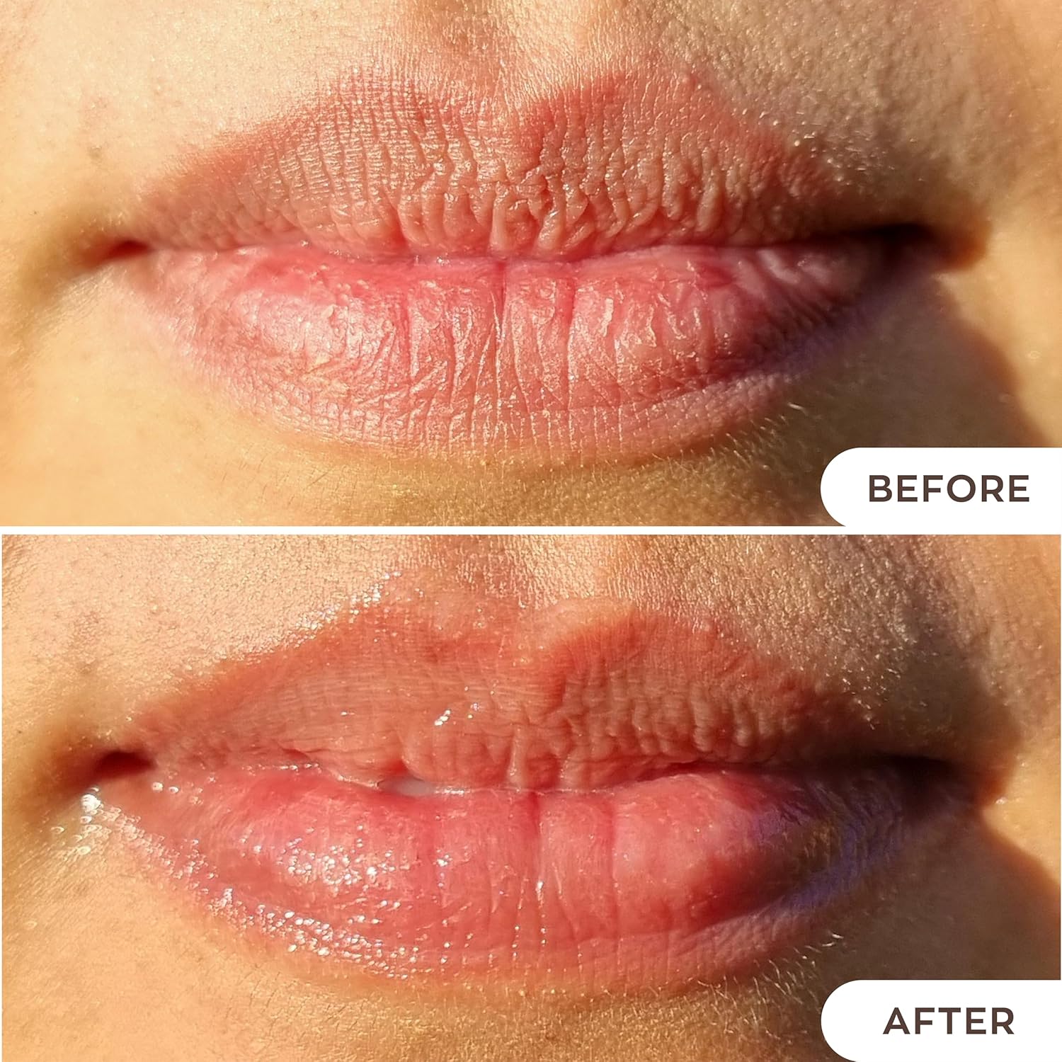 Hanalei Kukui Oil Lip Treatment – Clear, Overnight Balm 15g | Kukui Oil, Shea Butter & Grapeseed Oil, Intensive Overnight Moisturizer, Heals Dry & Cracked Lips, Cruelty-Free - View 5 of 8