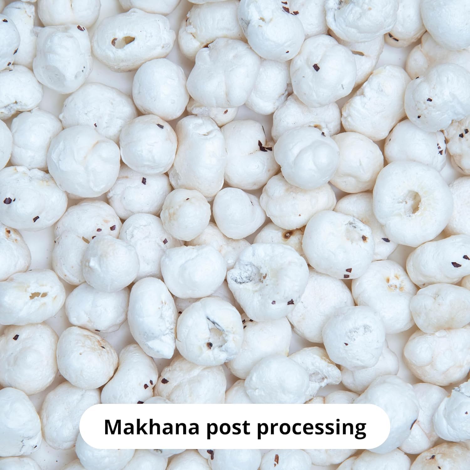 MHARAJABHOG Everyday Fox Nuts 250g Phool Makhana Raw Plain Lotus Seeds High Protein Unflavoured Fit for Fasting Pack of 1 - View 2 of 5