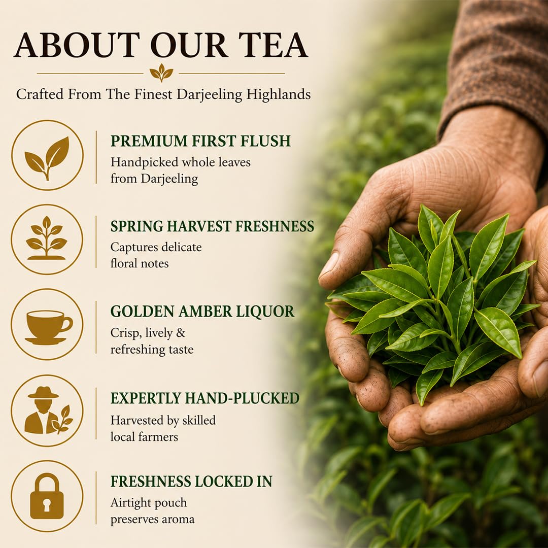 Your Spicemen Organic Darjeeling Blended Flush Tea 750g | First Flush Loose Leaf Spring Harvest | Whole Leaf Handpicked from Misty Highlands | Aromatic Limited Edition Luxury Black Tea Pack - View 3 of 6