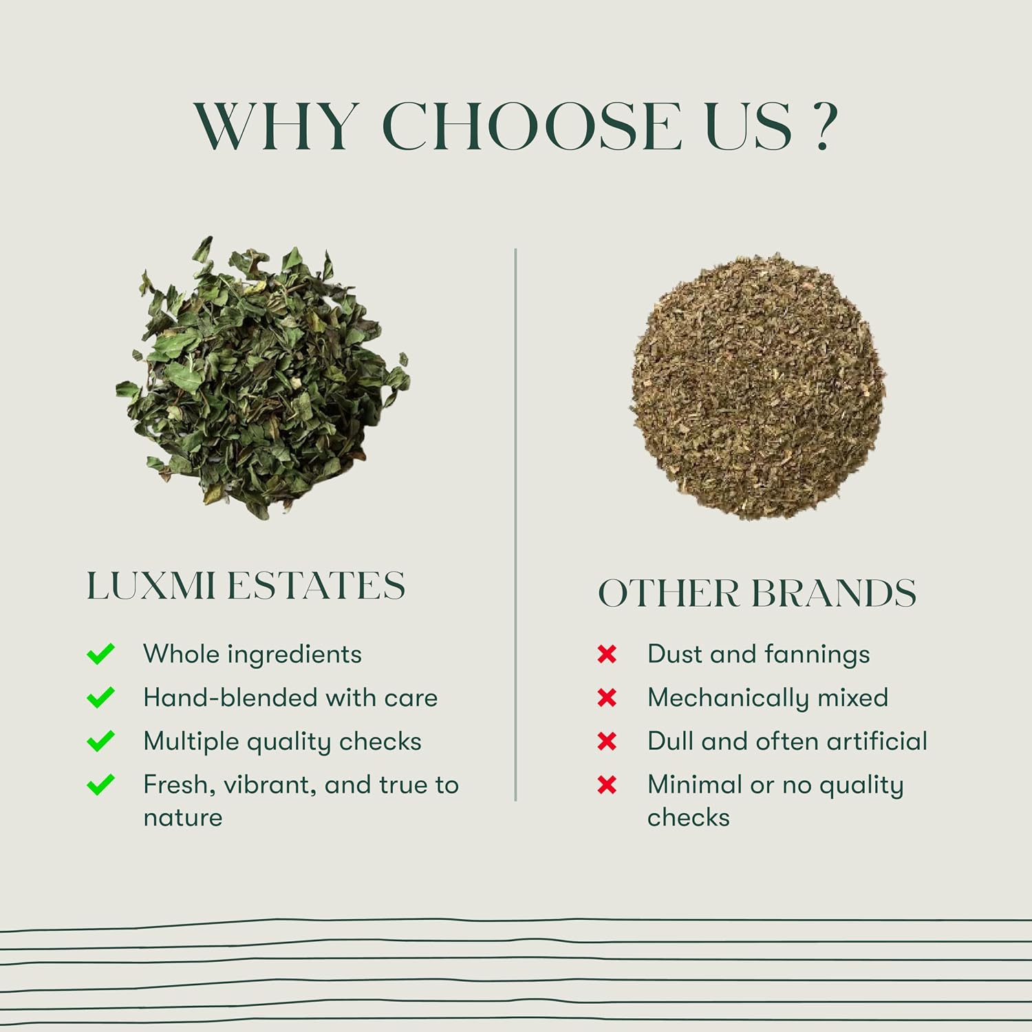 Luxmi Estates Pure Peppermint 25gm Tin | Organic Loose Leaf Herbal Infusion | Single Ingredient | Caffeine-Free | Supports Gut Health & Relaxation | Best for Night Time - View 3 of 6