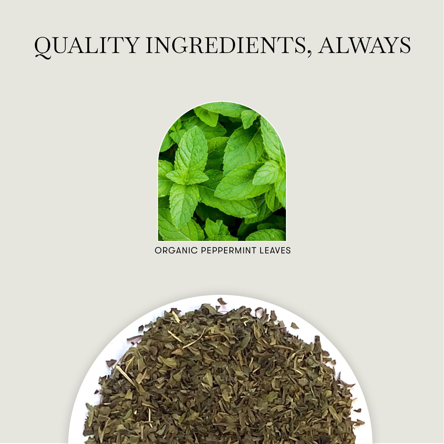 Luxmi Estates Pure Peppermint 25gm Tin | Organic Loose Leaf Herbal Infusion | Single Ingredient | Caffeine-Free | Supports Gut Health & Relaxation | Best for Night Time - View 5 of 6