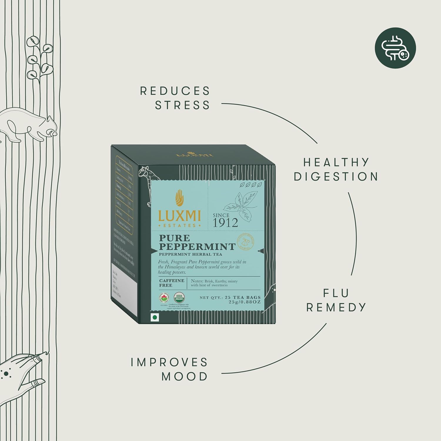 Luxmi Estates Pure Peppermint Organic Herbal Infusion | 25 Plant-Based Biodegradable Bags (50g) | Single Ingredient | Caffeine-Free | Supports Gut Health & Relaxation | Best for Night Time - View 4 of 6