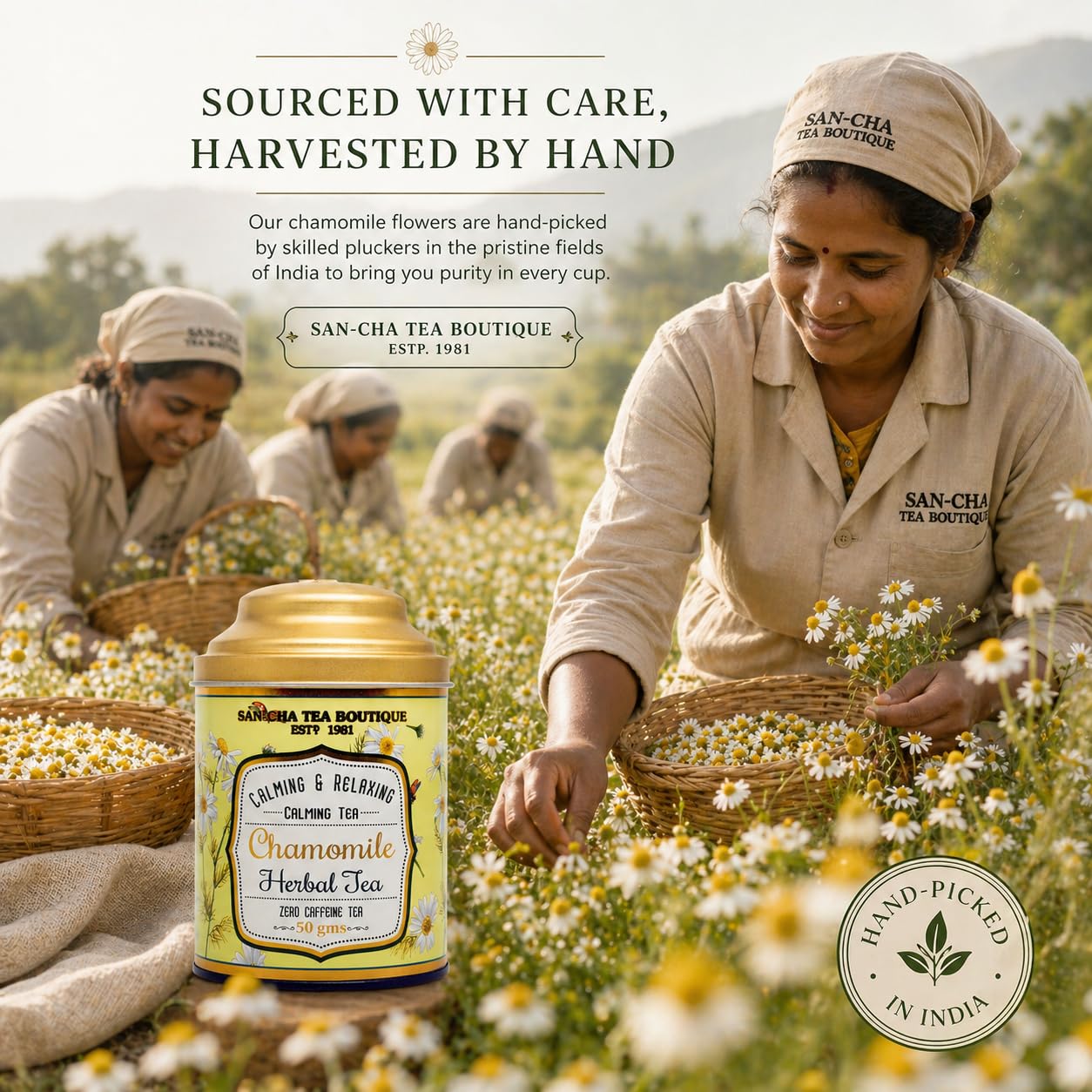 Sancha Tea Boutique, Pure Chamomile Tea, 50g Loose Leaves, Caffeine Free Herbal Tisane, Bedtime for Good Sleep, Stress Relief & Relaxation - View 4 of 5