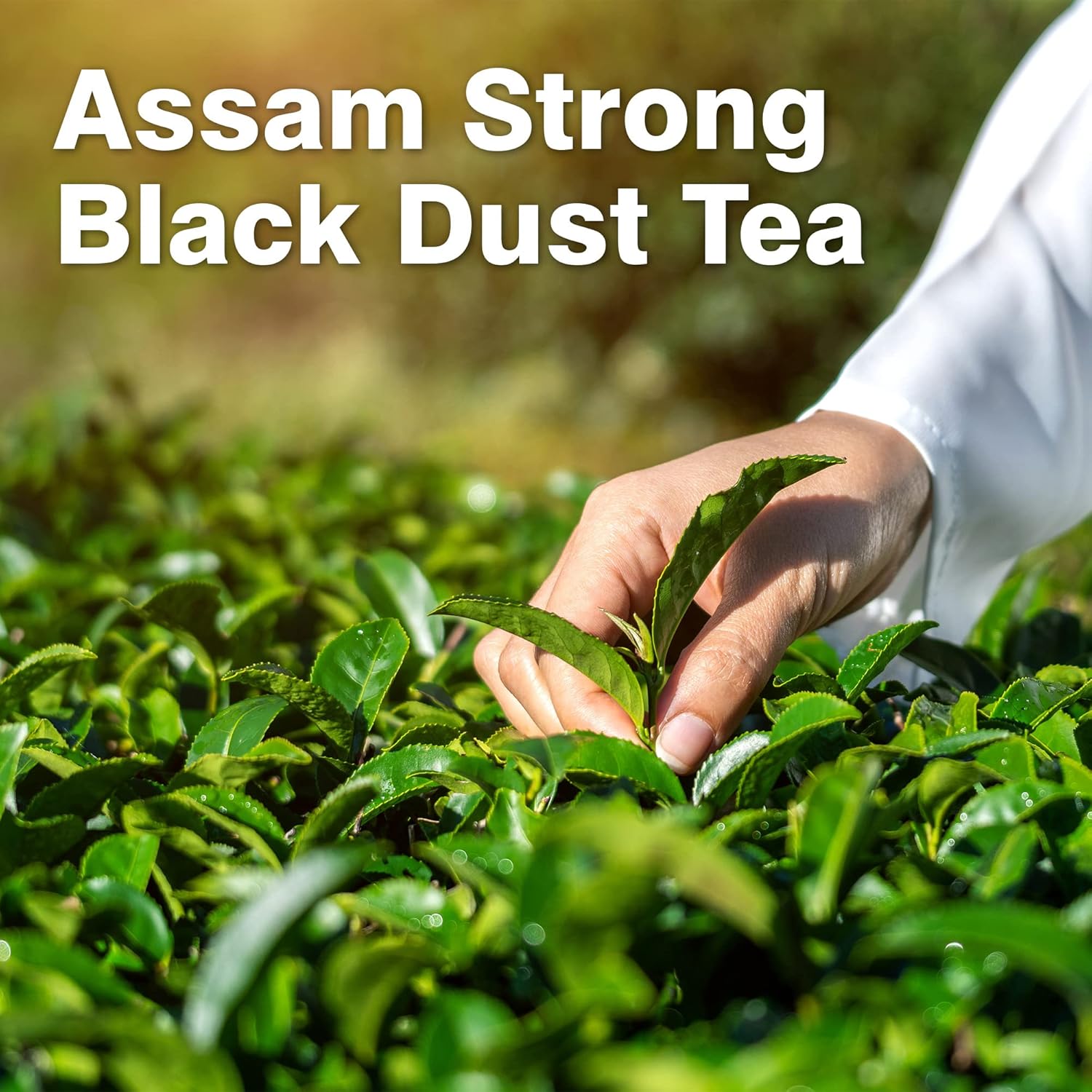 C Somabhai Tea No.11 CTC Premium Black Tea 1kg | Bold & Strong Assam Bhuki Chai | Rich Flavor Kadak Chai Patti | Authentic Black T Powder | Daily Use for Office & Home | Energizing Indian Chaay - View 3 of 5