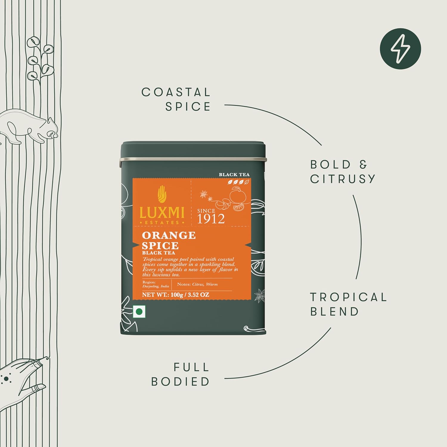 Luxmi Estates Orange Spice Black Tea 100 Gm Tin Caddy | Zesty Citrus & Warm Spice Infusion | Bold Black Tea | Refreshing & Energising | 100% Natural Blend - View 3 of 5