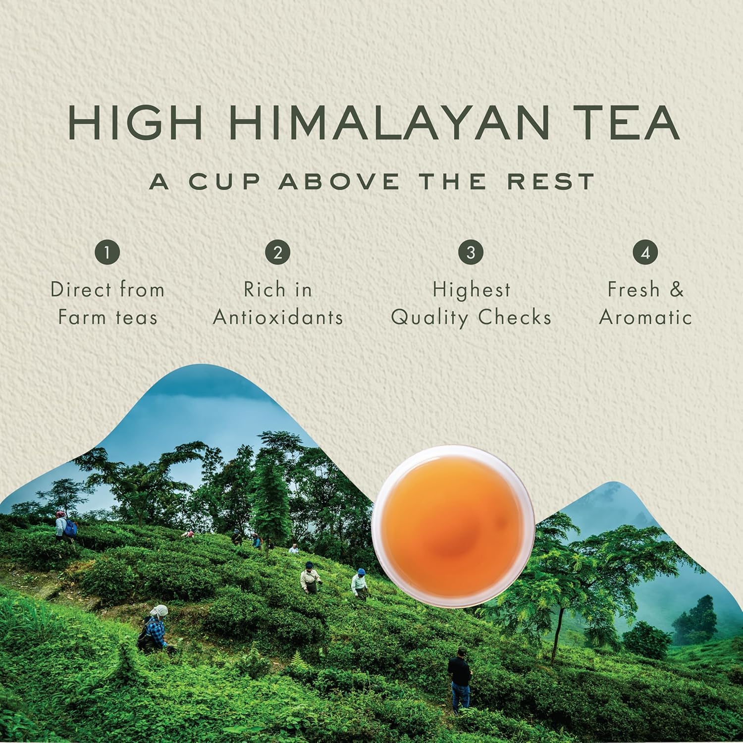 Makaibari Golden Bru Organic Darjeeling Black – 100 Tea Bags | Single Estate | Subtle Muscatel Aroma | Smooth & Delicate Brew | No Added Flavour - View 3 of 6