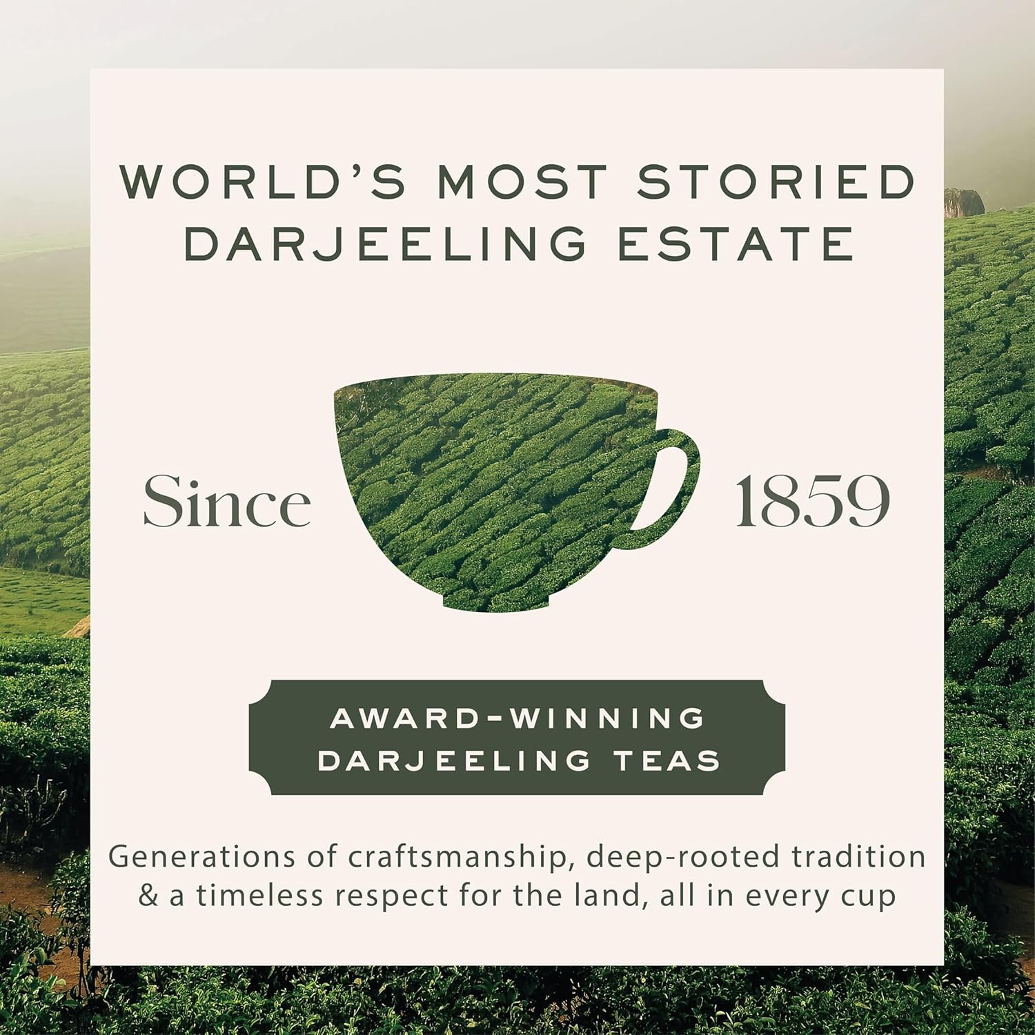 Makaibari Golden Bru Organic Darjeeling Black – 100 Tea Bags | Single Estate | Subtle Muscatel Aroma | Smooth & Delicate Brew | No Added Flavour - View 4 of 6