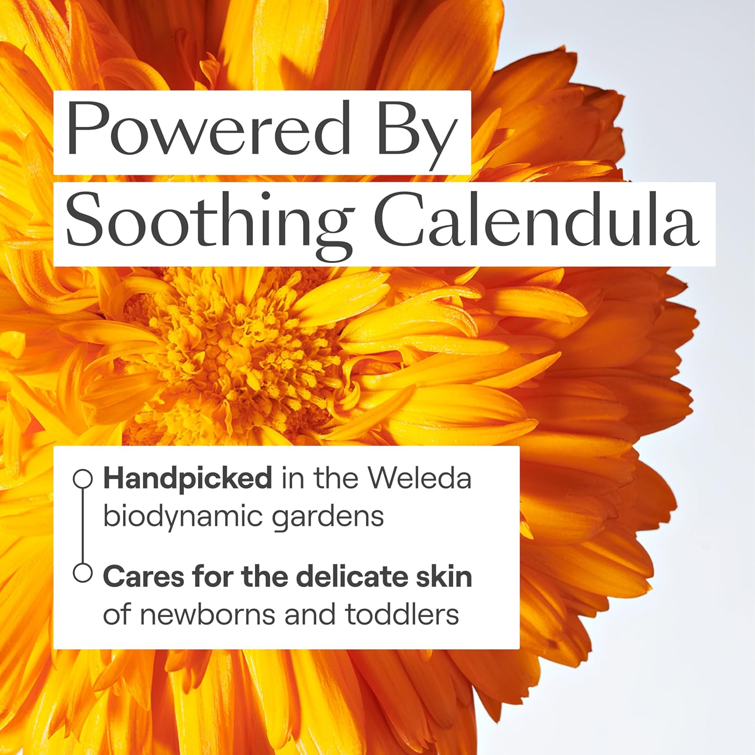 Weleda Baby 2-In-1 Gentle Shampoo And Body Wash 6.8 Oz - View 3 of 7